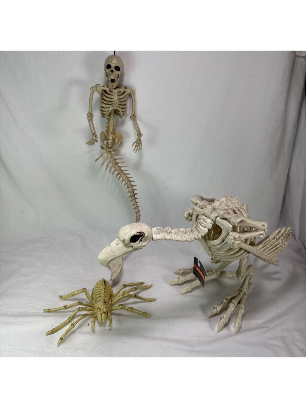 Crazy Bonez by Seasons Skeleton Vulture Halloween Skeleton Mermaid Spider Bones
